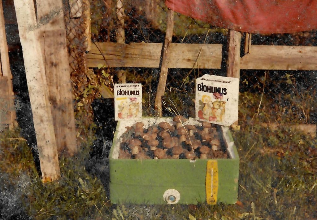 Fritzens Pilze